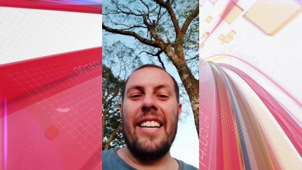 Onça é filmada em Apucarana após ser acuada por cães; veja