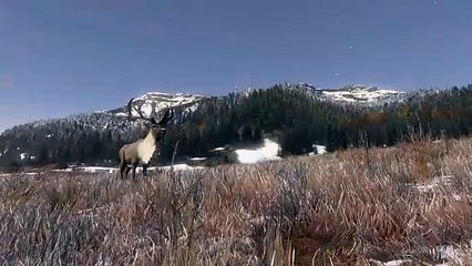 DayZ Frostline: La Nueva Expansión que Revoluciona el Mundo Zombi ❄️