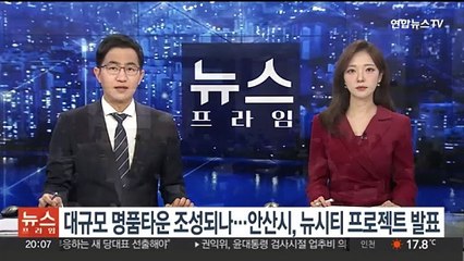대규모 명품타운 조성되나…안산시, 2035 뉴시티 프로젝트 발표