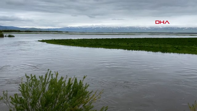 Kura Nehri taştı; Ardahan Ovası göle döndü
