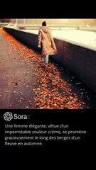 Les Fausses Videos de Sora
