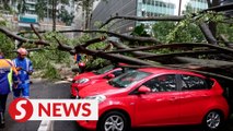 Storm uproots trees in KL, several vehicles and house damaged