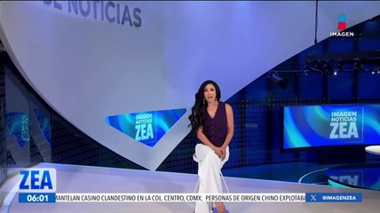 Futbolista se vuelve viral tras ayudar a una familia de osos