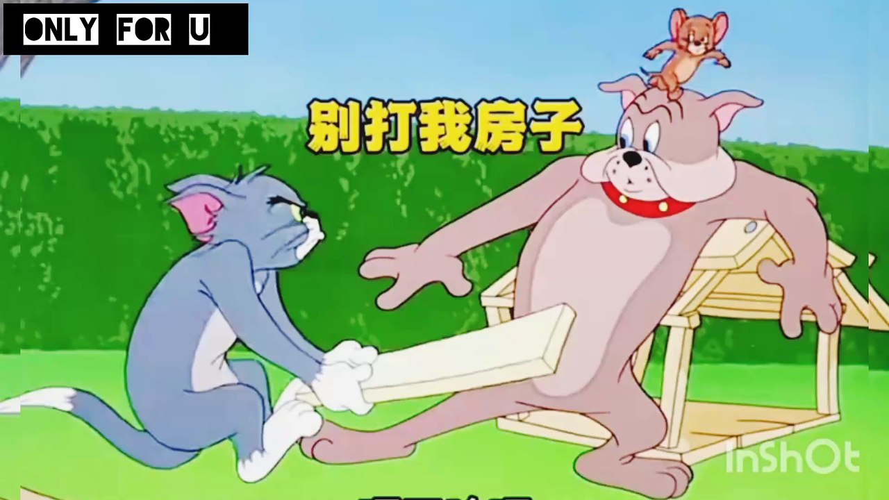 Tom & Jerry in Full Action