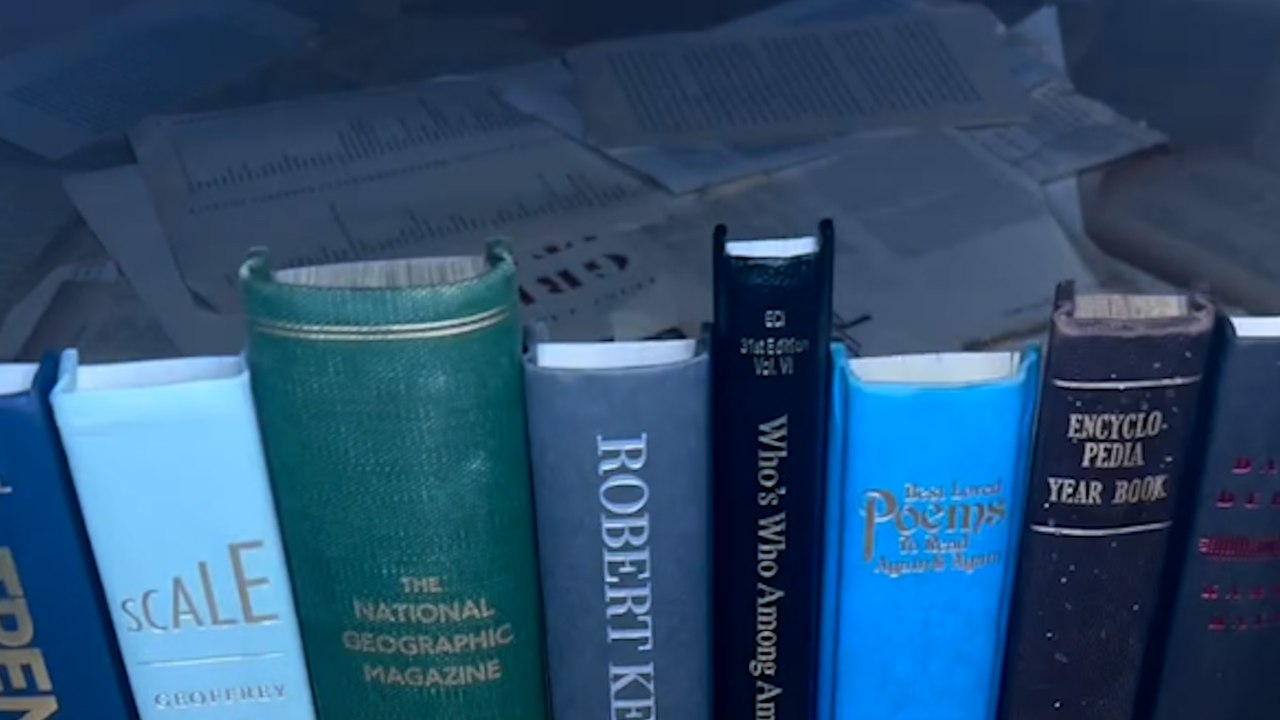 Treffe das paar, das zu ‘bücherrettern’ bekommen ist