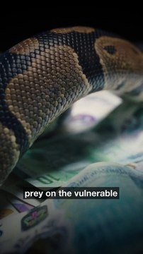 crimestoppers Predatory money lending