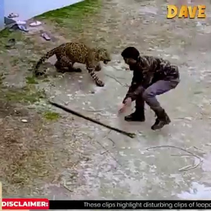 Animal attacks