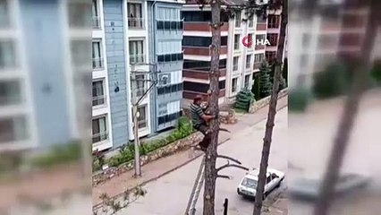 Hayatını adeta yok saydı! Hiçbir önlem almadı