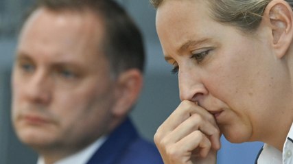 So könnte die AfD gegen das Urteil aus Münster vorgehen