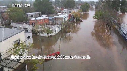 Crecida del río Uruguay en Concordia