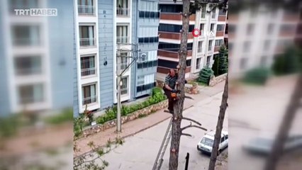 Metrelerce yükseklikteki tehlikeli budama kameraya yansıdı