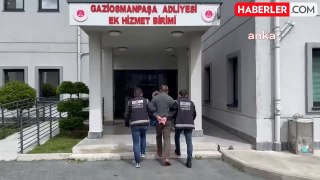 İstanbul Havalimanı'nda Kaçak Hayvan Operasyonu
