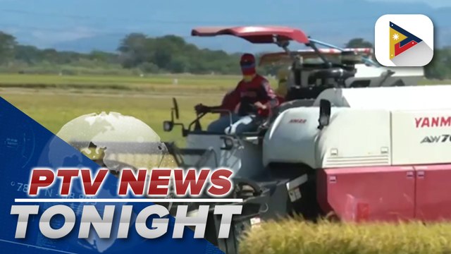 Gov’t set to expand contract farming program to lower rice prices, eyes P29/kg of rice