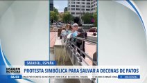 Realizan protesta simbolica para salvar a decenas de patos en España