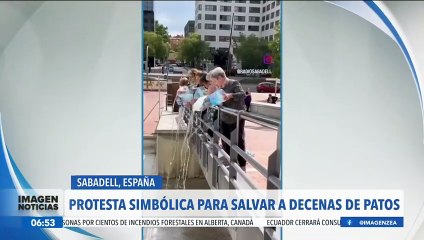 Realizan protesta simbolica para salvar a decenas de patos en España