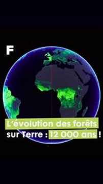 12 000 ans d'évolution des forêts sur Terre ! #science #environnement