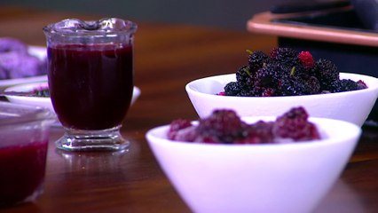 bd-beneficios-nutricionales-de-la-mora-130524