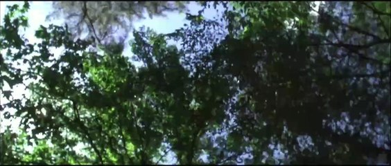 W. : L'improbable Président Bande-annonce (EN)