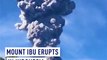 Mount Ibu erupts in Indonesia