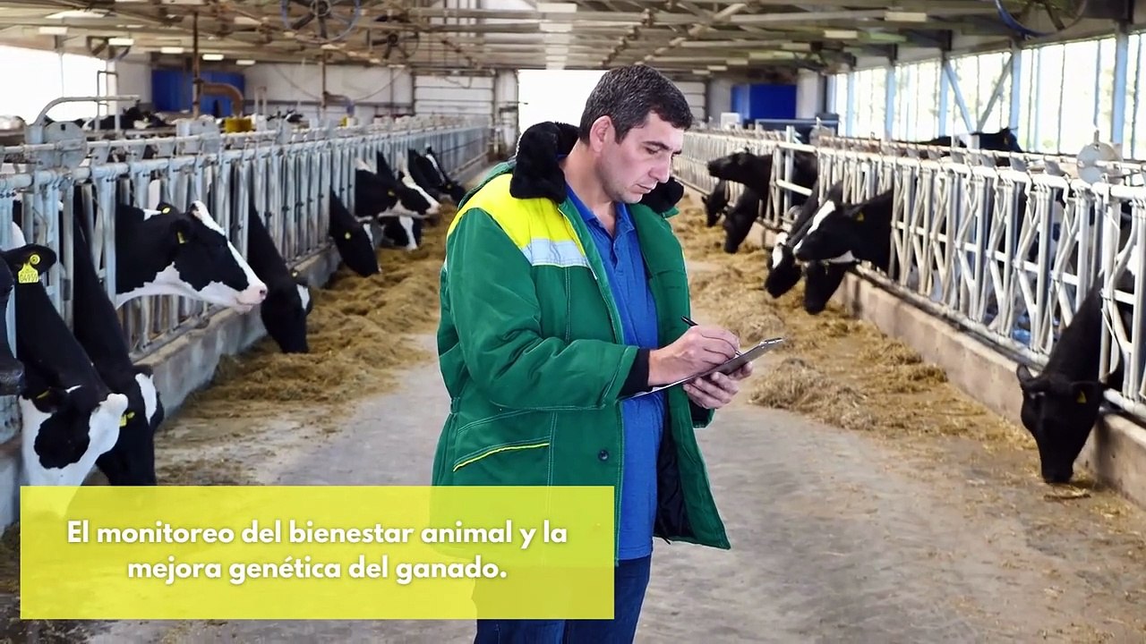 Bovino; Los instrumentos necesarios que necesitas conocer