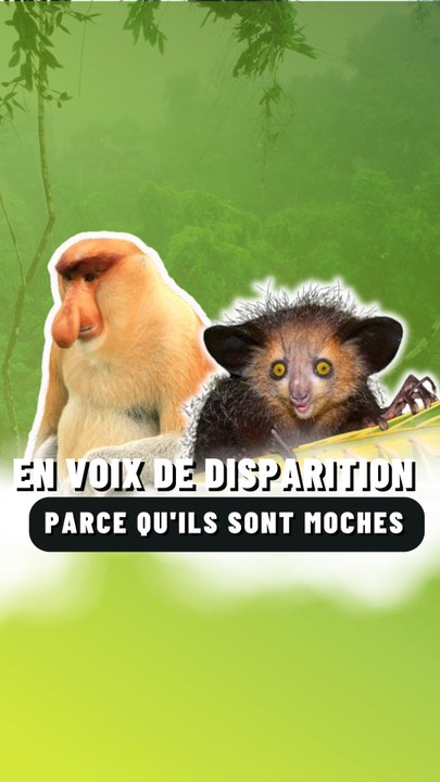 Ils vont disparaître parce qu'ils sont "moches."