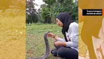 Nainen suutelee myrkyllistä käärmettä suulle ja kauhistuttaa internetiä