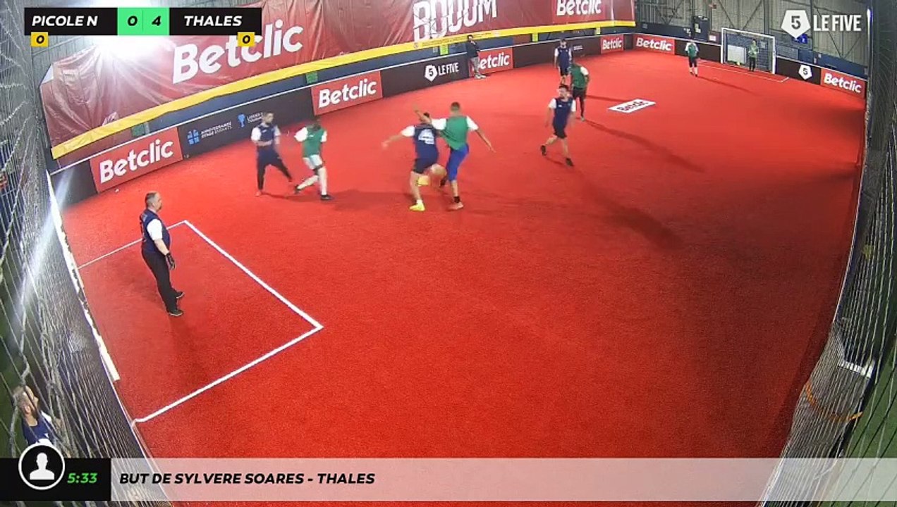 But de Sylvere Soares - THALES