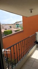 La #Gata #Bombay #Gato #felino #shorts #animales #mascotas #peludo #fauna #balcon #chisme #arguende