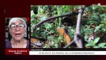 Día Mundial de la Diversidad Biológica: Raquel Gutiérrez Nájera