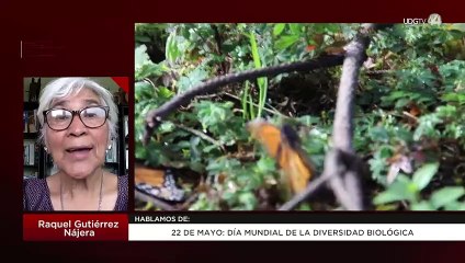 Día Mundial de la Diversidad Biológica: Raquel Gutiérrez Nájera
