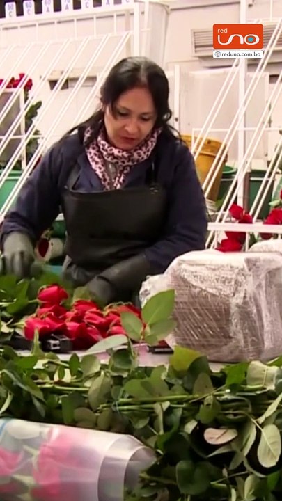 Día de la Madre