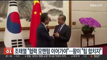 조태열 "협력 모멘텀 이어가야"…왕이 "힘 합치자"