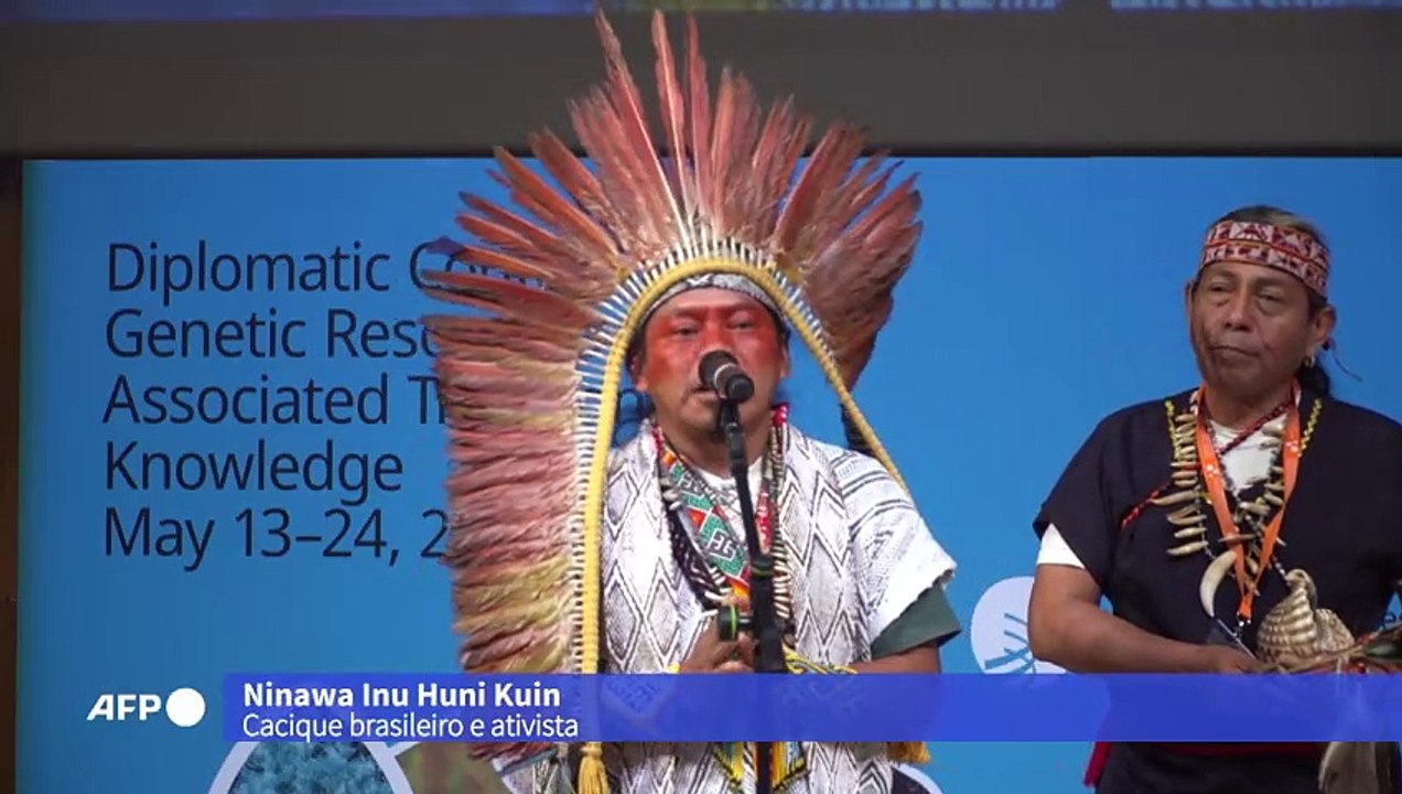 ONU inicia negociações sobre recursos genéticos e propriedade intelectual