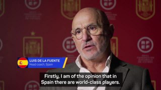 Spain have the best players in the world - De La Fuente