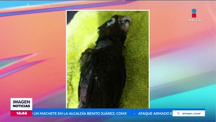 Se registra enjambre sísmico en Baja California