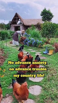 No advance anxiety, no advance worries, my rural life