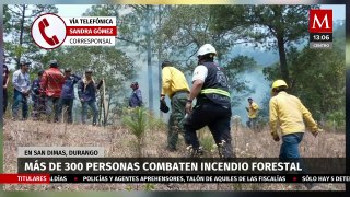 Más de 300 elementos de PC, Sedena y Conafor combaten incendio forestal en San Dimas, Durango