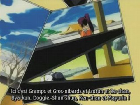 Bleach 167 preview vostfr + bonus