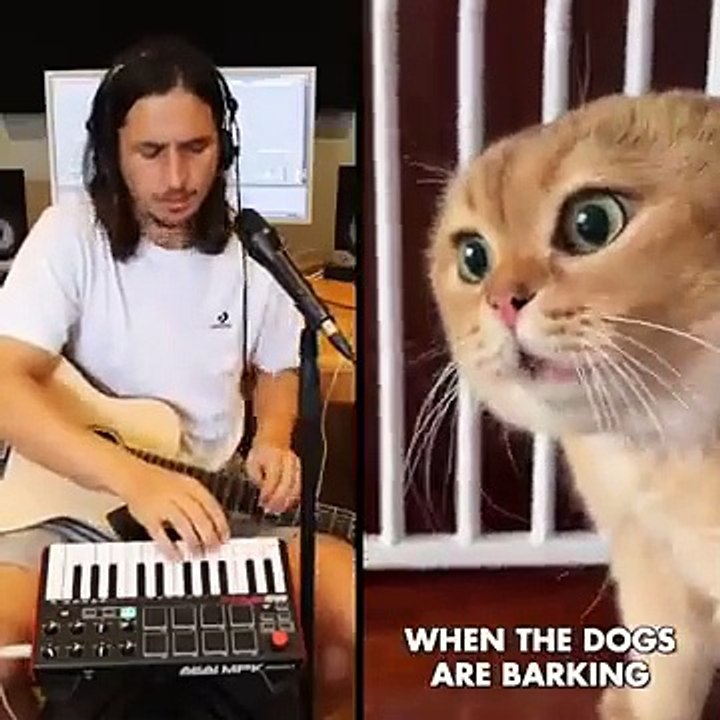The Kiffness x Oh Long Johnson 2.0 - Hold Onto My Fur (Talking Cat Song) (1)
