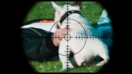 Trainspotting Bande-annonce (EN)