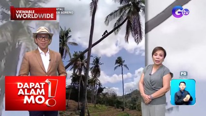 Kambing, natagpuan sa itaas ng puno ng niyog sa Negros Oriental | Dapat Alam Mo!