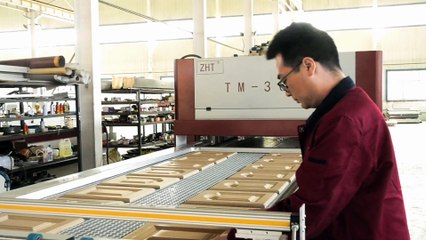 TM3000F Scanning PIN system positive and negative pressure machine