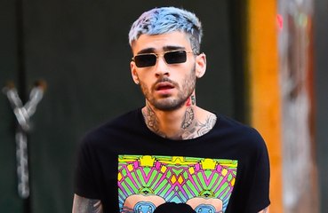 Zayn Malik turns his phone off for 'two or three days' at a time to spend time with his animals