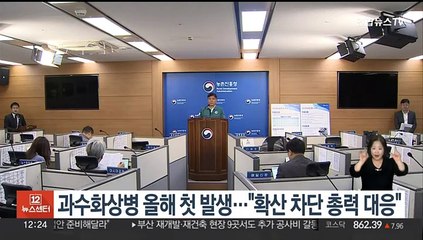 과수화상병 올해 첫 발생…"확산 차단 총력 대응"