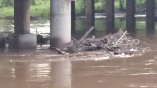 Limestone, TX Flood Footage