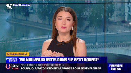 150 nouveaux mots entrent dans le Le Petit Robert, tels que "tiktokeur" ou encore "stalker"