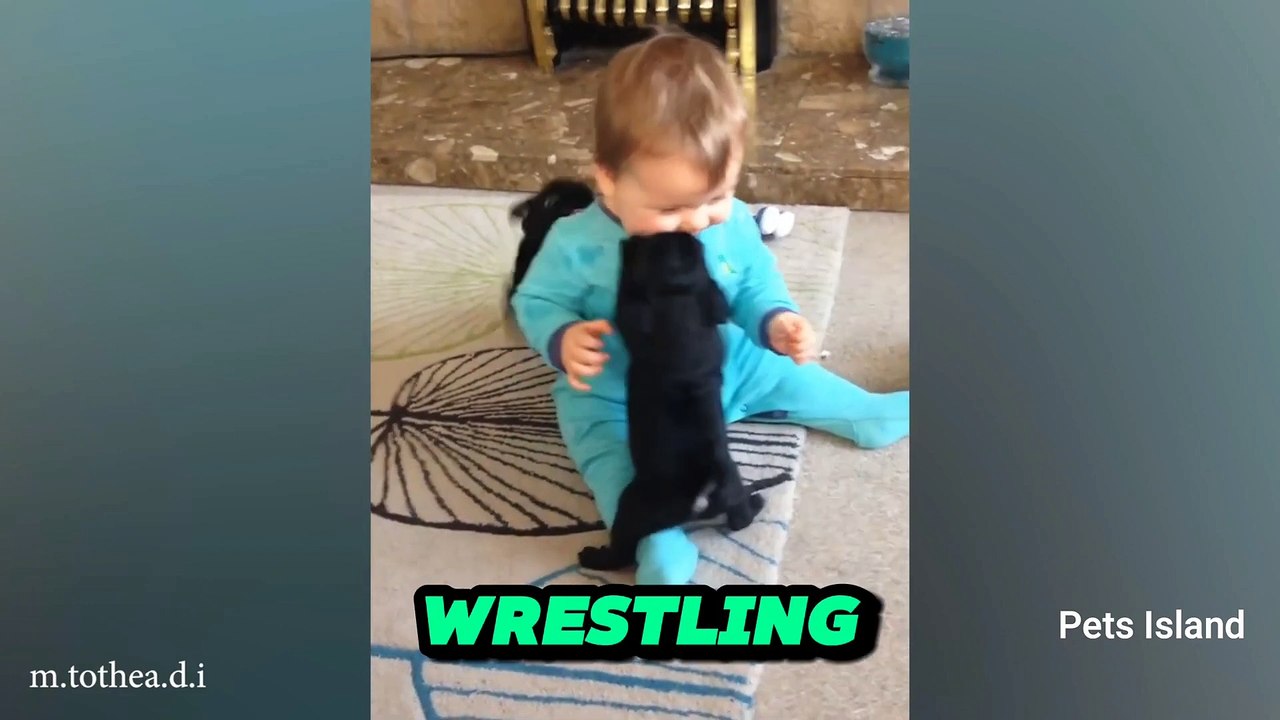 When your dog is the BEST BABYSITTER