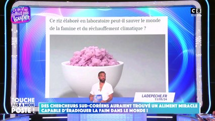 Des chercheurs sud-coréens auraient trouvé un aliment miracle pour éradiquer la faim dans le monde !