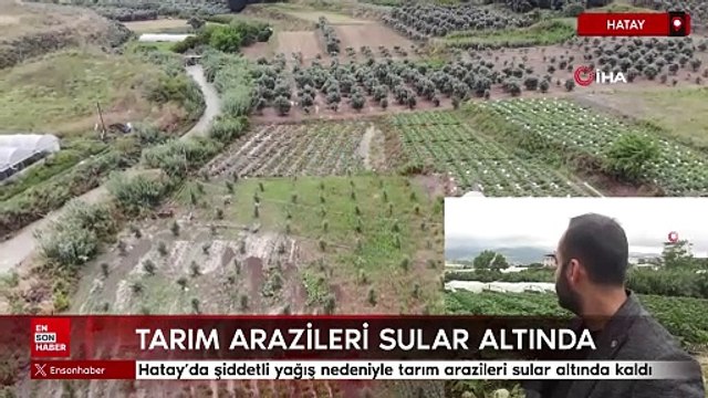 Hatay’da şiddetli yağış nedeniyle tarım arazileri sular altında kaldı