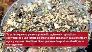 Piden ayuda para eliminar los microplásticos del agua